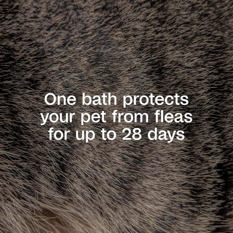 ADAMS Plus Flea & Tick Shampoo with Precor for Dogs & Cats, 12 oz