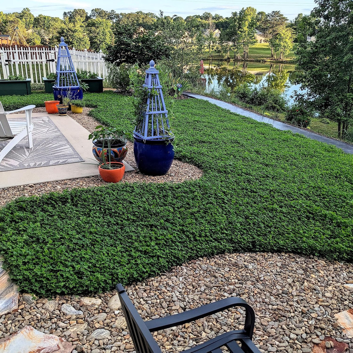 Outsidepride Perennial White MiniClover Seed - 2 lb. Dwarf, Small-Leaved, Drought & Wear-Tolerant Micro Clover Seeds for Lawn, Ideal Low-Maintenance & Easy to Grow Ground Cover Seeds for Home Yard