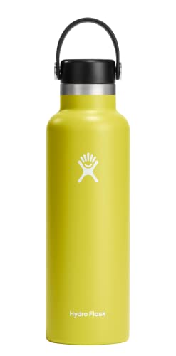 Hydro Flask 21 oz Standard Mouth with Flex Cap Stainless Steel Reusable Water Bottle Cactus -Â Vacuum Insulated, Dishwasher Safe, BPA-Free, Non-Toxic