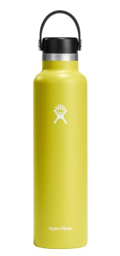 Hydro Flask 24 oz Standard Mouth with Flex Cap Stainless Steel Reusable Water Bottle Cactus -Â Vacuum Insulated, Dishwasher Safe, BPA-Free, Non-Toxic