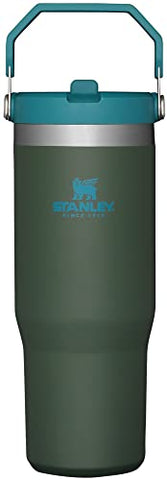 Stanley IceFlow Stainless Steel Tumbler with Straw - Vacuum Insulated Water Bottle for Home, Office or Car - Reusable Cup with Straw Leakproof Flip - Cold for 12 Hours or Iced for 2 Days (Spirulina)