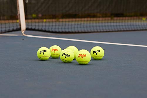 Penn Championship - Extra Duty Felt Pressurized Tennis Balls - (2 Cans, 6 Balls)