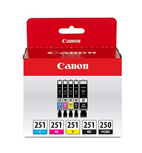 Canon PGI-250/ CLI-251 5 Color Amazon Pack