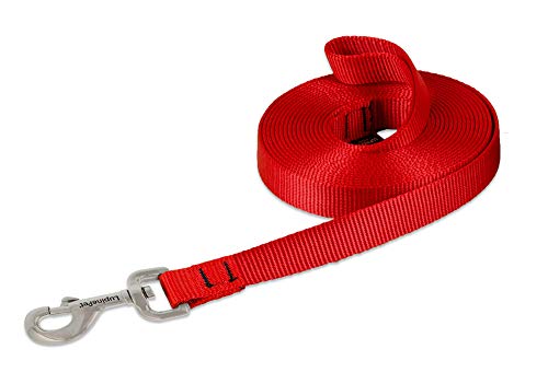 LupinePet Basics 3/4" Red 15-Foot Extra-Long Training Lead/Leash for Medium and Larger Dogs