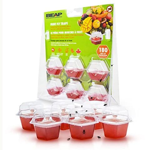 BEAPCO 10036 Red 6-Pack Premium Fruit Fly 6 Pre-Filled Trap Flies Indoors | Easy Effective and Safe to Use | Food-Based Lure/Bait Catcher