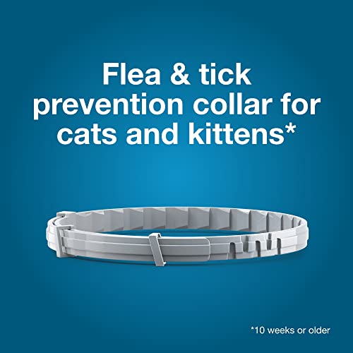 Seresto Cat Vet-Recommended Flea & Tick Treatment & Prevention Collar for Cats, 8 Months Protection | 2 Pack,Yellow