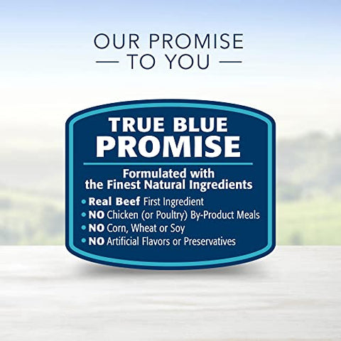 Blue Buffalo Life Protection Formula Natural Adult Dry Dog Food, Beef and Brown Rice 34-lb