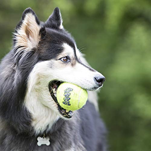 KONG - Squeakair® Birthday Balls - Dog Toy Premium Squeak Tennis Balls, Gentle on Teeth - For Medium Dogs (3 Pack)