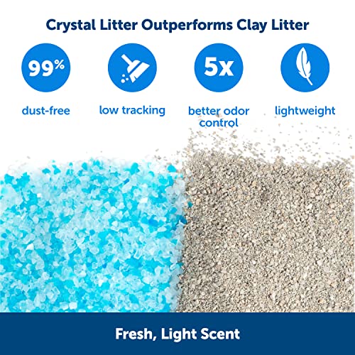 PetSafe ScoopFree Crystal Litter Tray Refills, Premium Blue Crystals, 3-Pack, Disposable Tray, Includes Leak Protection & Low Tracking Litter, Absorbs Odors On Contact