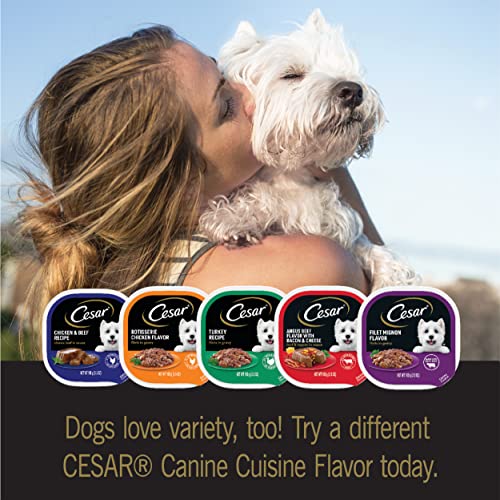 CESAR Wet Dog Food Classic Loaf in Sauce Poultry Variety Pack,. Easy Peel Trays with Real Chicken, Turkey or Duck, 3.5 Ounce (Pack of 24)