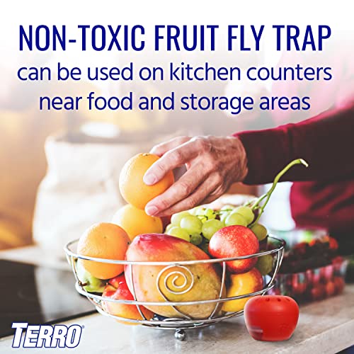 TERRO T2502 Ready-to-Use Indoor Fruit Fly Trap with Built in Window - 2 Traps + 90 day Lure Supply