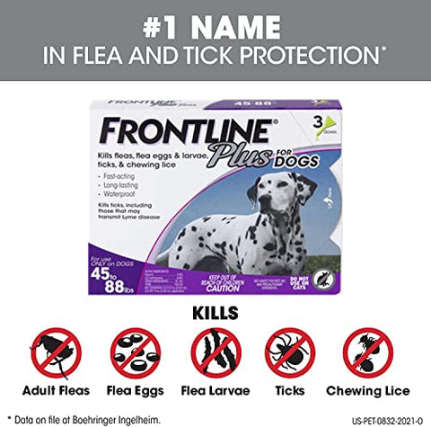 FRONTLINE Plus for Dogs Flea and Tick Treatment (Large Dog, 45-88 lbs.) 3 Doses (Purple Box)