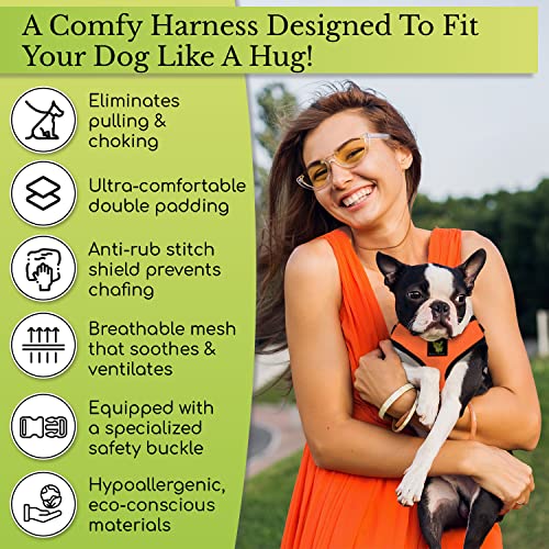 EcoBark Dog Harness - Eco-Friendly Max Comfort Harnesses - Luxurious Soft Mesh Halter - Over The Head Harness Vest- No Pull and No Choke for Puppy, Toy Breeds & Small Dogs (Medium, Black)