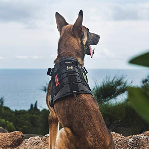 OneTigris Tactical Dog Harness - Fire Watcher Comfortable Patrol K9 Vest (Black, Medium)