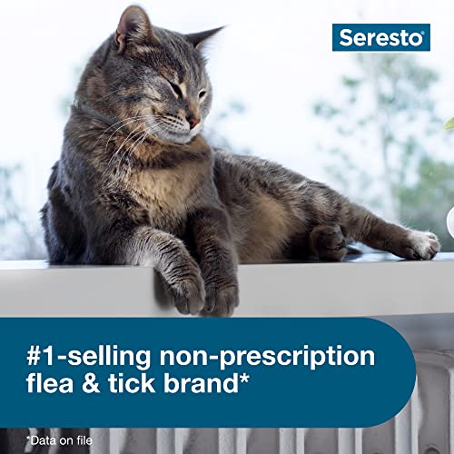 Seresto Cat Vet-Recommended Flea & Tick Treatment & Prevention Collar for Cats | 8 Months Protection