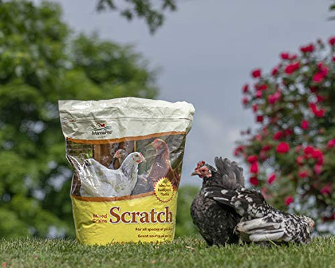 Manna Pro Ultimate Scratch Chicken Feed | Nutrient Rich Chicken Treat | 10 LB Chicken Scratch