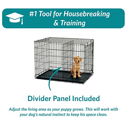 MidWest Homes for Pets Newly Enhanced Single & Double Door iCrate Dog Crate, Includes Leak-Proof Pan, Floor Protecting Feet, Divider Panel & New Patented Features