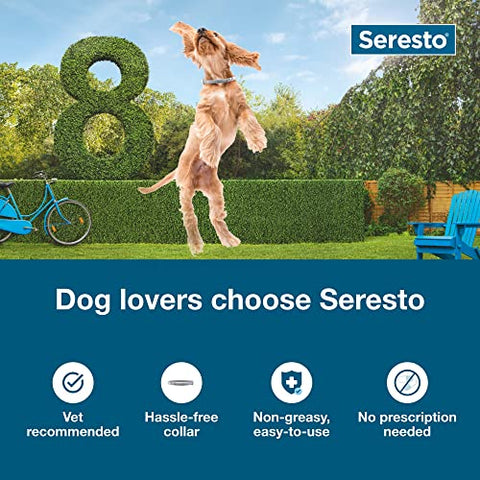 Seresto Small Dog Vet-Recommended Flea & Tick Treatment & Prevention Collar for Dogs Under 18 lbs. | 2 Pack
