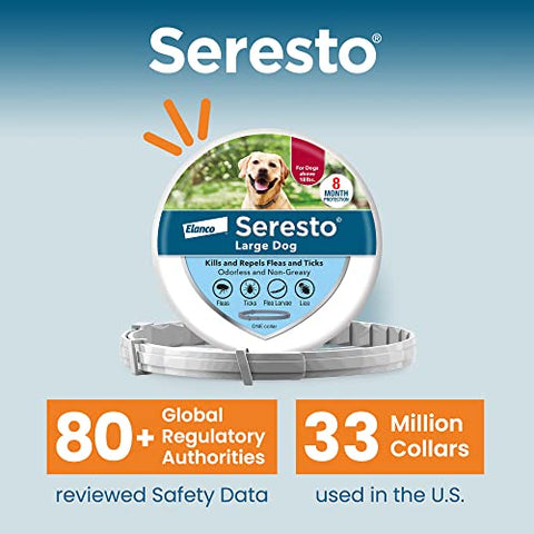 Seresto Large Dog Vet-Recommended Flea & Tick Treatment & Prevention Collar for Dogs Over 18 lbs. | 8 Months