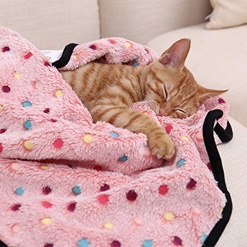 PAWZ Road Dog Blanket Soft Fleece Pet Blanket Washable Cat Blanket for Couch Blanket Pink Large
