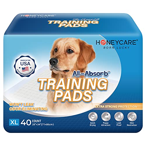 HONEY CARE All-Absorb, X-Large 28" x 34", 40 Count, Dog and Puppy Training Pads, Ultra Absorbent and Odor Eliminating, Leak-Proof 5-Layer Potty Training Pads with Quick-Dry Surface, Blue