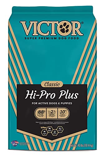 Victor Super Premium Dog Food – Hi-Pro Plus Dry Dog Food – 30% Protein, Gluten Free - for High Energy and Active Dogs & Puppies, 40lbs