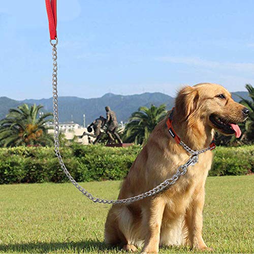 Pettom Dog Chain Leash Metal Dog Lead Training Steel Leash Heavy Duty Chew Proof Leash with Padded Handle for Medium Large Dogs (4' /2.0mm Small Chain)