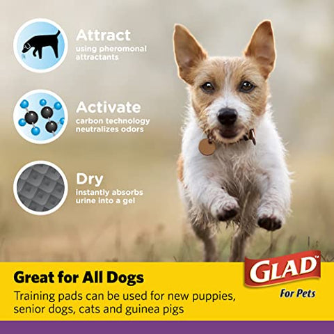 Glad for Pets JUMBO-SIZE Charcoal Puppy Pads | Black Training Pads That ABSORB & Neutralize Urine Instantly | New & Improved Quality Puppy Pee Pads, 180 Count