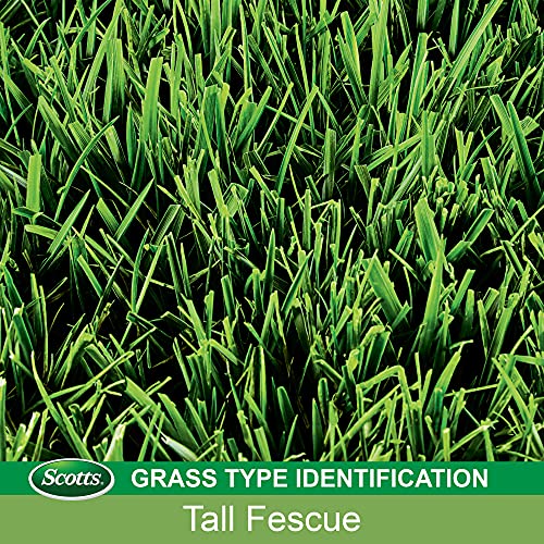 Scotts Turf Builder Grass Seed Tall Fescue Mix, 7 lbs. (4-Pack)