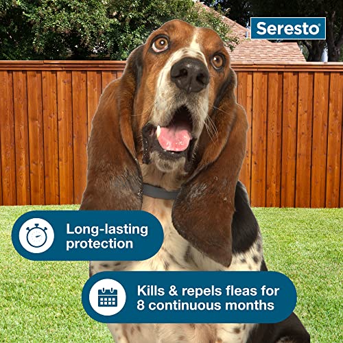 Seresto Small Dog Vet-Recommended Flea & Tick Treatment & Prevention Collar for Dogs Under 18 lbs. | 2 Pack